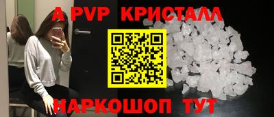 стафф Моздок