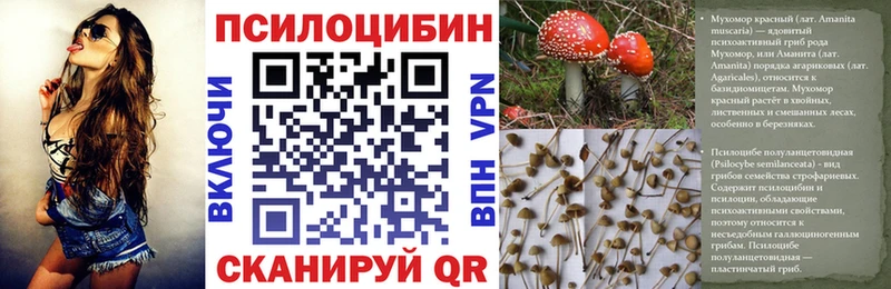 Галлюциногенные грибы Cubensis  Новочебоксарск 