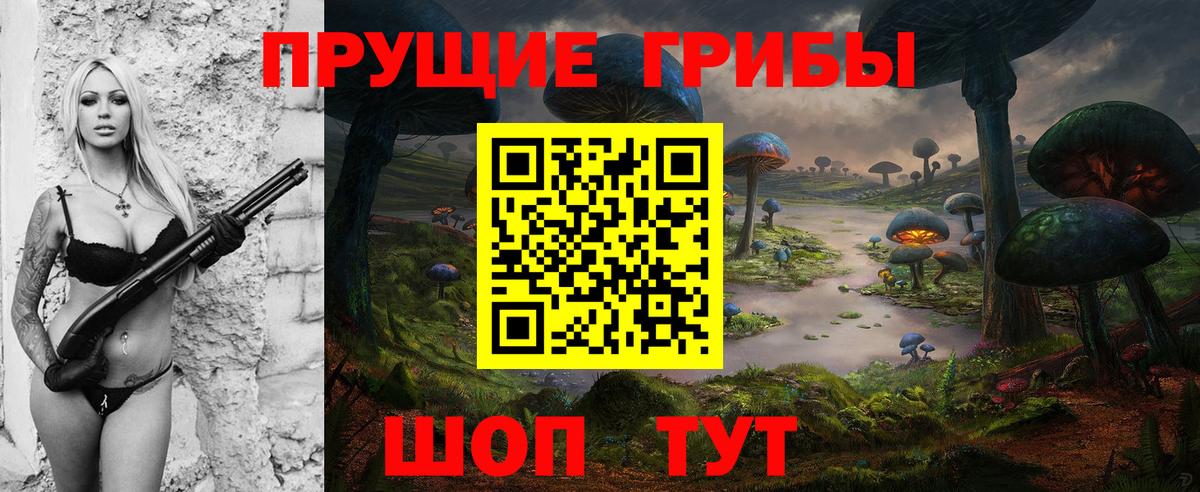 Псилоцибиновые грибы GOLDEN TEACHER Новочебоксарск